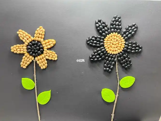 种子画贴起来啦