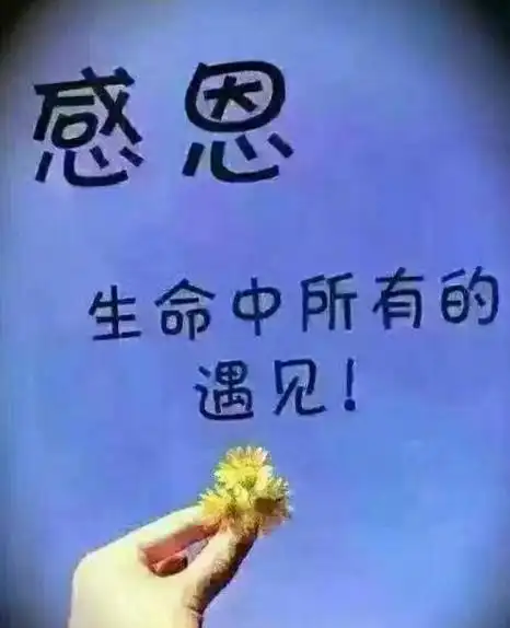 感恩所有的遇见