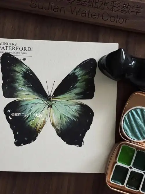 蝴蝶系列最后一个过程图月神闪蝶