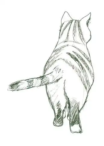 猫背影的简笔画黑白穿披肩的小猫简笔画步骤图猫咪的背影简笔画推按