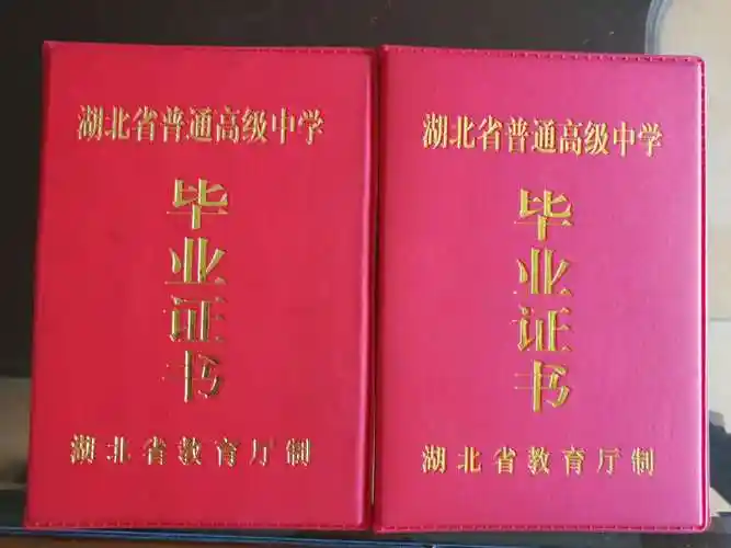 袁新路 王晓聪)荆州市江陵县高中毕业生彭伟先后拿到三个假毕业证