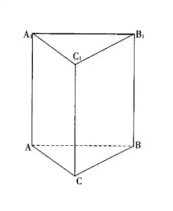 正三棱柱什么样子_作业帮