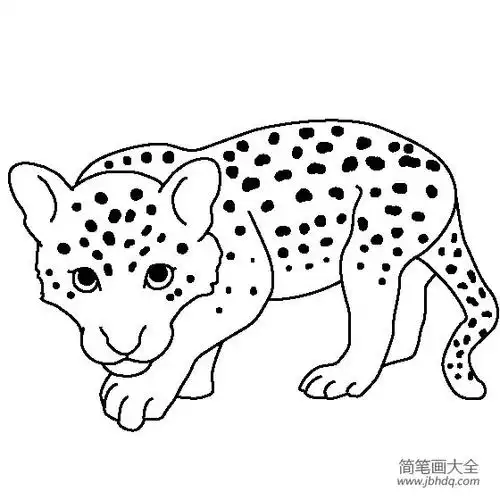 动物简笔画小花豹简笔画画法