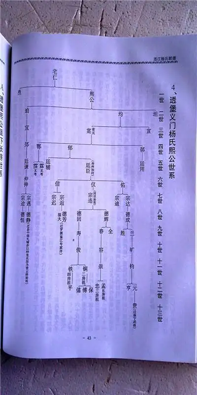 杨氏联谱福建省连江支大16开精装印800本991页2006年版售原谱