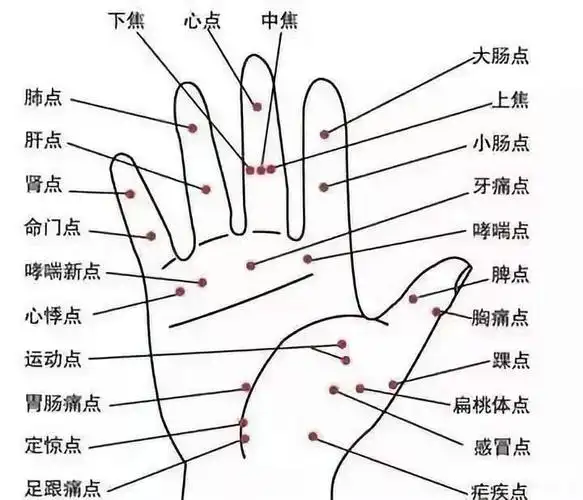 把玩,指势"五字诀":揉,抚,捏,压,扣