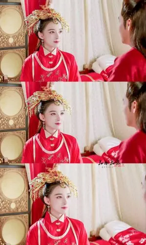 《花谢花飞花满天》花含羞.康宁图源康宁超话