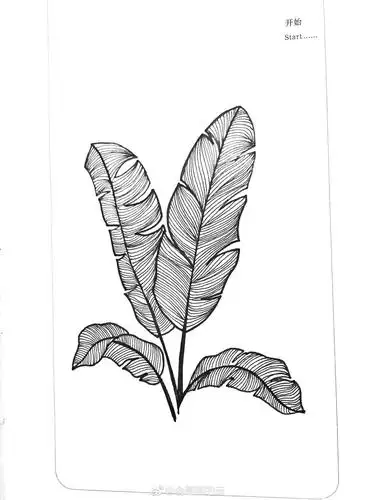 最近线条画的比较多整理一下作者