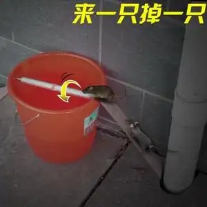 家用捕麻雀神器安全扑灭老鼠夹踏板捕鼠器全自动高灵敏度扑鼠器高