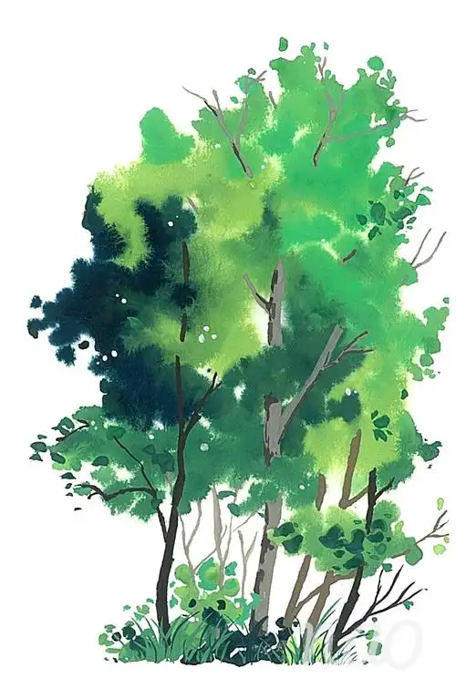 喜欢这抹绿让人越来越爱的不透明水彩