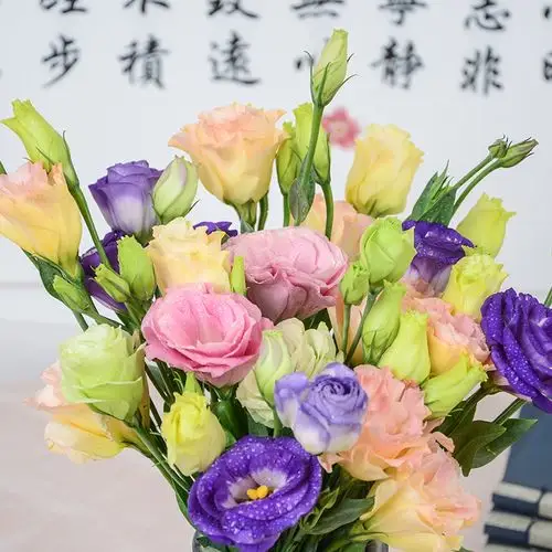 鲜切洋桔梗鲜花手捧花全国速递花店婚庆节日用花昆明鲜花基地直批