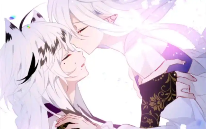 《吾凰在上》小白x小希|我还想再见你一面