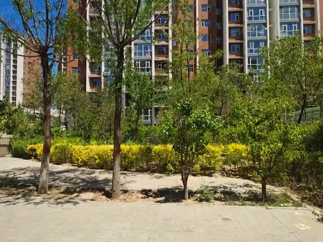 古城佳园a区,永和路-大同古城佳园a区二手房,租房,房价-大同安居客