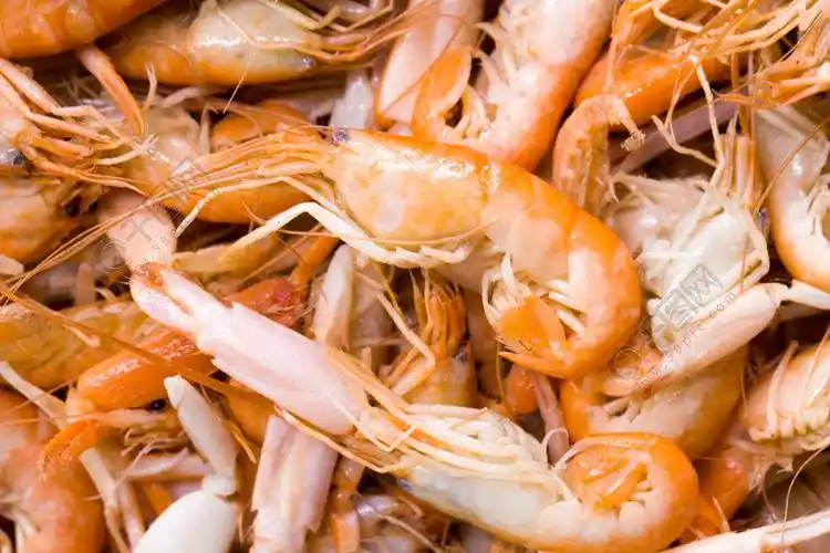 特写爪虾水产海鲜虾