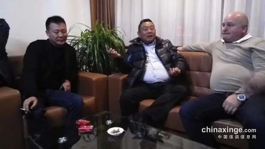 德拉帕先生及德国电视台采访任丘浩腾鸽业