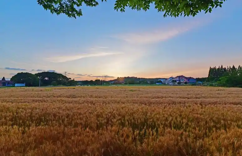落日余晖映山村