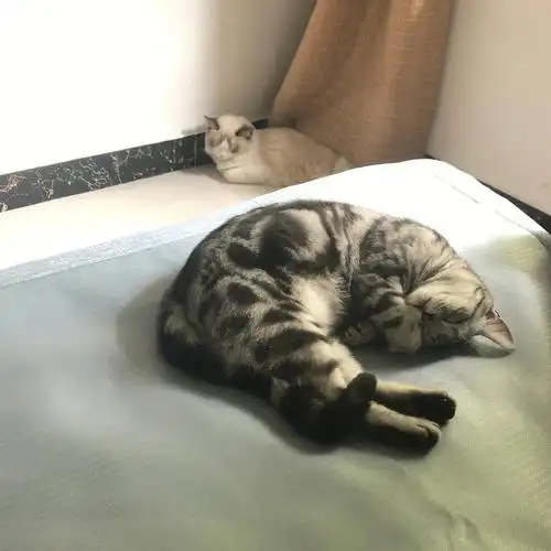 ok 打扰我们一夜没咋睡 现在你们开始补觉