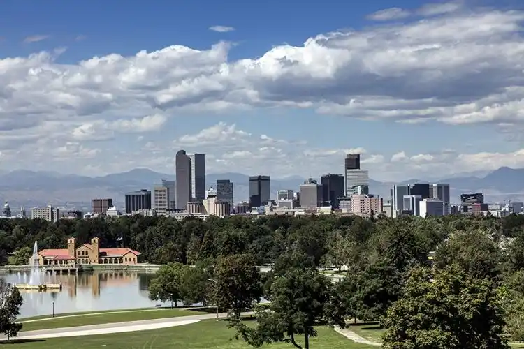 美国,摩天大楼,denver, colorado,树,城市,照片