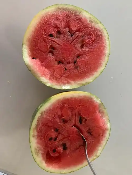 西瓜才是最原始的盲盒