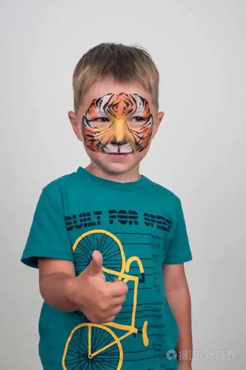 有一张虎脸的迷人的小男孩水化妆品面部彩绘