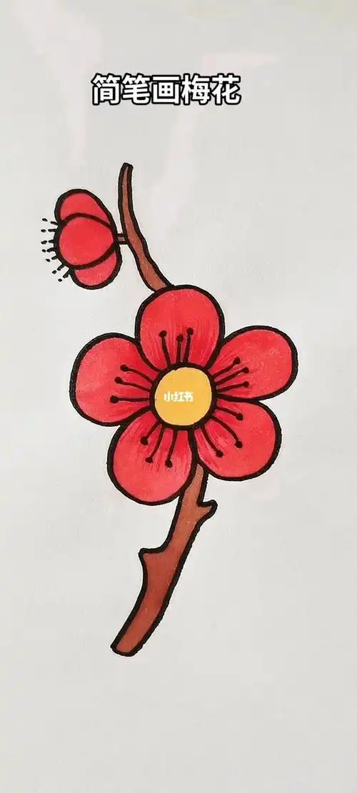 红色梅花大图简笔画