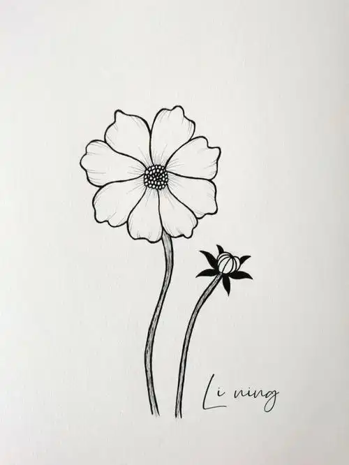 绘画  #简笔画教程  #零基础学画画  #简笔画  #黑白线描  #黑白装饰