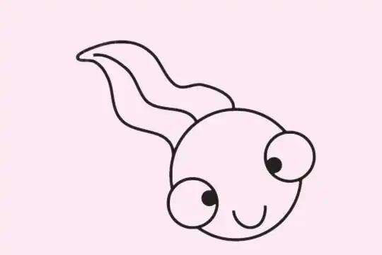 小蝌蚪简笔画简单画法步骤步骤图片大全