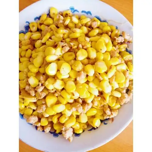 小仙女下凡尘做的玉米炒肉末【超级下饭的快手家常菜】