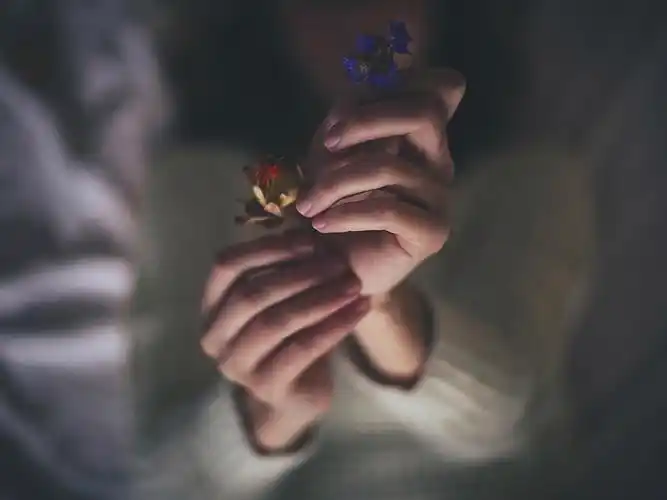 手,花朵,寂寞寂寞就好,心情札记,小花,寂寞,伤感,唯美,安静,女孩,轻诉