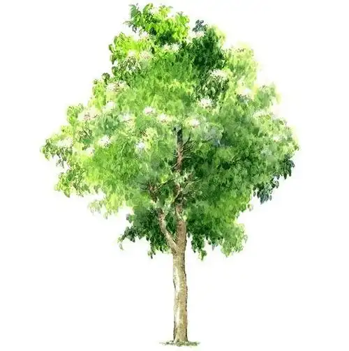 6套素材让你成为拼贴风的顶尖高手