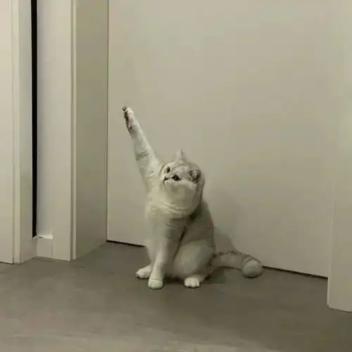 精选头像有的人无话可说有的话无人可说