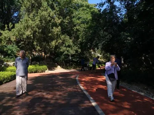 新整修的老公园