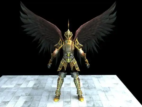 龙骑士  男人 羽翼 黄金铠甲 帅气 古代 写实