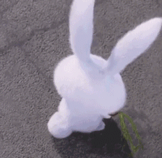 【表情包】《爱宠大机密》里宠物无处不在的各种萌与反.