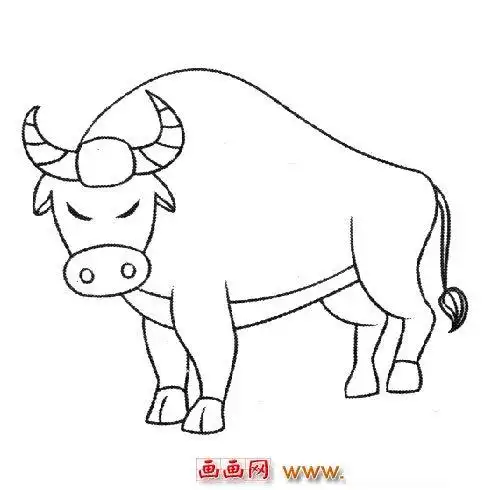 一头好斗的牛(儿童简笔画)