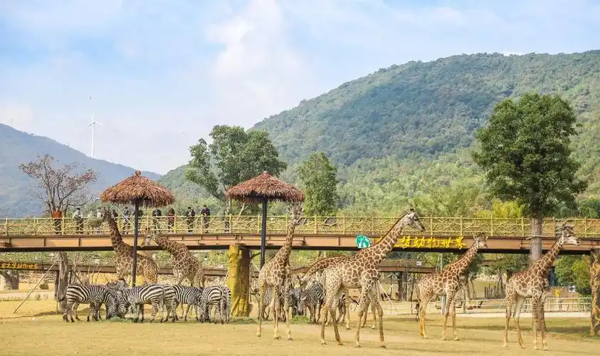 太湖龙之梦动物世界 _太湖龙之梦动物世界门票预订_侠客游特价酒店