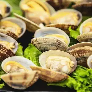 冷冻真空花蛤500g熟冻杂色蛤带壳无沙花甲蛤蜊花蚬子 日料