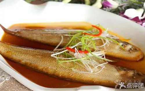 清蒸玉秃鱼