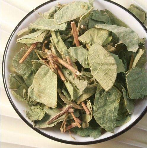 野生金钱中草药大叶过路黄干小叶肾结石排石清茶广金钱草