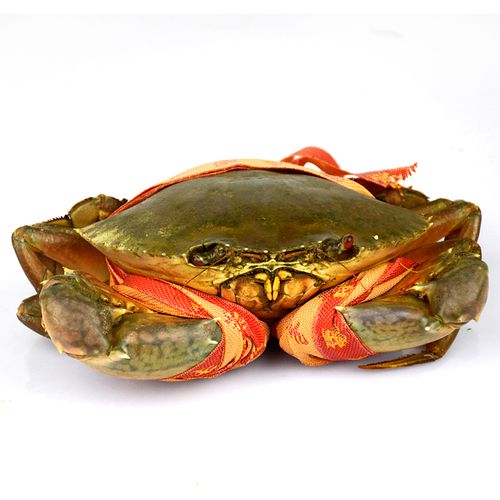 轩农谷鲜活青蟹