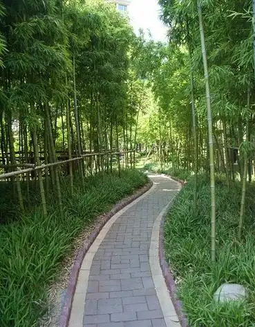 小区绿化园林植物的配置(图文并茂)