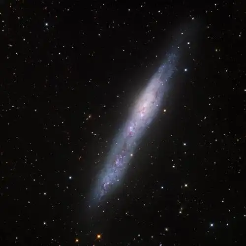 麦哲伦星系ngc 55