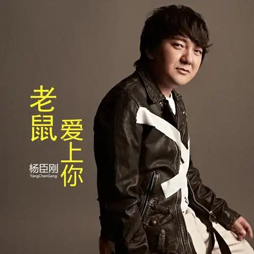 他的一首歌,获利无数,甚至开上了劳斯莱斯_杨臣刚