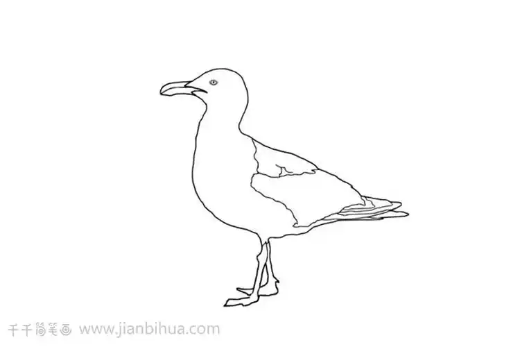 海鸥简笔画图片