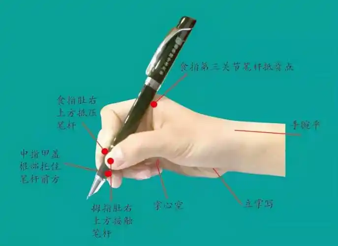 握笔的正确姿势 小学生正确的坐姿图-徐拾记官网