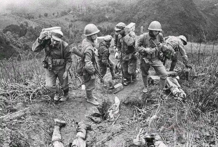 中越战争最激烈的大战:两山轮战7.12松毛岭大血战