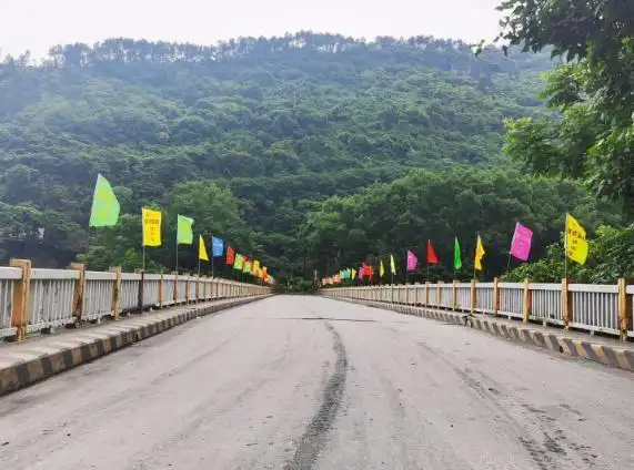 进入通往扶欢镇的公路,便能看见示意采摘节路线的彩旗 来源 重庆