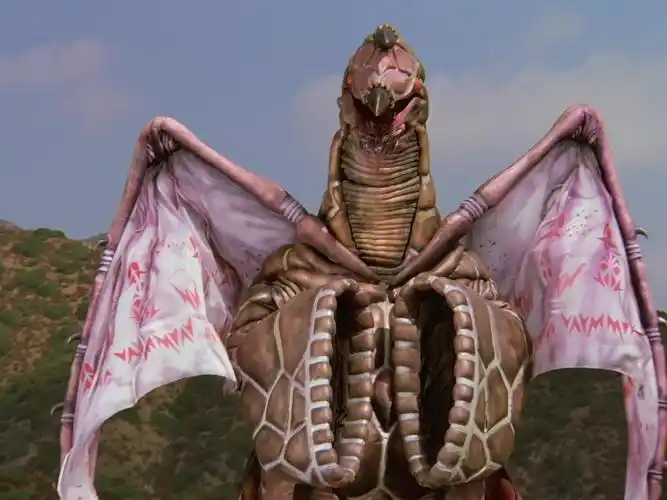 彗星怪兽多拉考