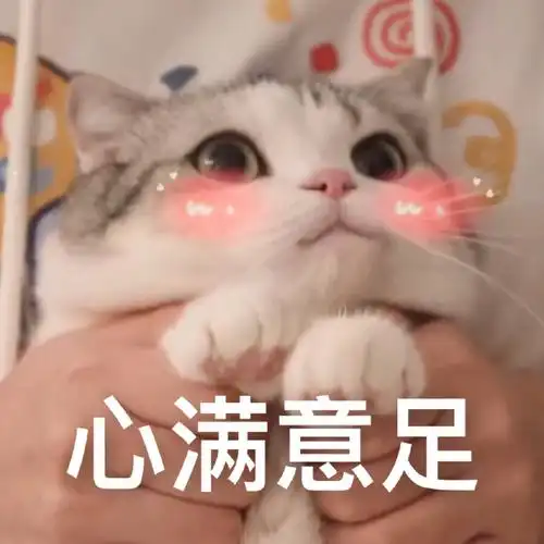 萌宠喵星人心满意足开心搞怪逗gif动图_动态图_表情包下载_soogif