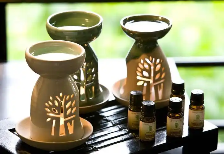 民丹岛悦榕庄度假村图片(31)