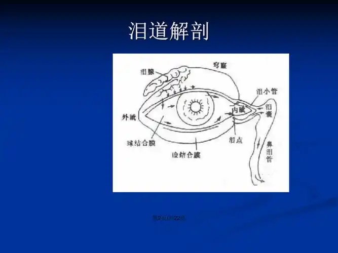 泪道冲洗ppt学习教案